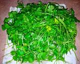 Mike's Salsa De Cilantro recipe step 1 photo