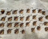 A picture of step 10 of Espresso Shortbread.