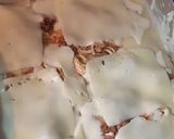 Foto del paso 5 de la receta: Lasaña mixta de pollo y carne molida