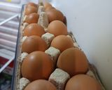 🍅🌶️🥒Cukkinis🍅🫑🌶️ lecsó🥒 tojással 🫑🍅 recept fázis 9 fotója