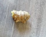 Une image de l'étape 2 de 🌸 Curry de légumes.