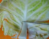 Quick & Easy Spring Cabbage and Sakura Shrimp Pasta recipe step 1 photo
