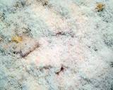 an improvisation on the stove top or stove top casserole recipe step 8 photo
