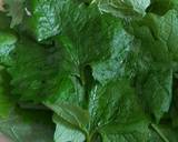 Wild Mustard garlic leaf and red dead nettle & wild onion dolmas recipe step 1 photo