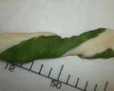 A picture of step 7 of "Snake" Bread.