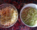 Foto del paso 10 de la receta: Brotes de fenogreco