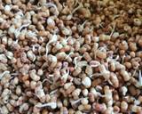 Sprout moth beans papdi chaat recipe step 2 photo