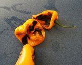 Foto del paso 1 de la receta: Chile habanero curtido con cebolla