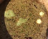 A picture of step 3 of California Farm Pickled Seaweed Kelp with Calamari.