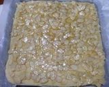 A picture of step 10 of My Florentines.