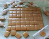 Vickys Coconut Milk Caramels, GF DF EF SF NF recipe step 8 photo