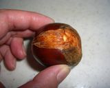 A picture of step 4 of How to Peel the Outer Skin of Chestnuts (My Mother's Version).