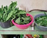 Foto langkah ke 1 dari resep Best of urap sayur.