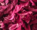 গোলাপের গুলকন্দ (Golaper Gulkand Recipe In Bengali) রেসিপি ধাপ - 1 ছবি