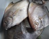 Foto langkah ke 1 dari resep Bawal Masak Tauco Jahe.