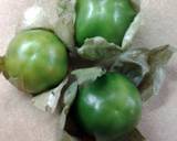 Quick Tomatillo Salsa Verde Sauce recipe step 1 photo