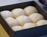 A picture of step 10 of Sugar-topped Honey Bread With Homemade Yeast.