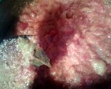 A picture of step 4 of Pappa Al Pomodoro.