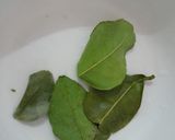 Foto langkah ke 3 dari resep 108. Lodeh pepaya a.k.a jangan kates.