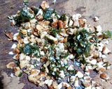 Foto del paso 1 de la receta: Pesto de albahaca y nuez pecan