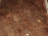 Tiramisú