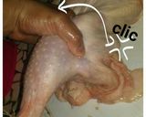 Foto del paso 5 de la receta: Deshuesar un pollo