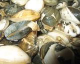 A picture of step 1 of Pasta with Manila Clams.