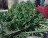 A picture of step 1 of Kale-freezing.