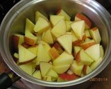 A picture of step 1 of Macrobiotic: Simmered Sweet Potato & Apple.