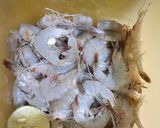 Foto langkah ke 1 dari resep Tumis Udang Buncis.