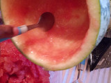 Watermelon Sorbet