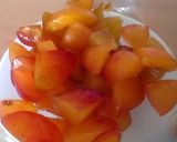 A picture of step 1 of Vickys Autumn Pickled Plums, GF DF EF SF NF.