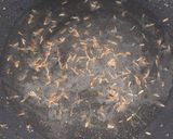 A picture of step 1 of Daal chanaFry.