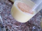 طبقات الكاسترد والجيلي