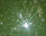 A picture of step 6 of Jute and melon soup.