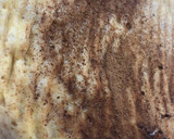 Foto del paso 5 de la receta: Tarta de plátano 🍌
