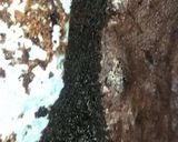 A picture of step 2 of Brownies.
