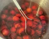 A picture of step 1 of California Farm Plum Wine & Cider.