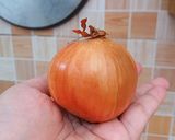 Foto langkah ke 1 dari resep Onion Ring Kriuks.
