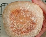 Foto langkah ke 24 dari resep Basic Sourdough Bread 72% (Open Bake Method - Oven Tangkring).