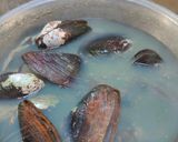Foto langkah ke 1 dari resep Tutut balado pedas manis.