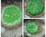 Foto langkah ke 8 dari resep Kue cucur pandan (3 bahan).