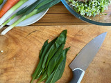 Vietnamese Spring Rolls