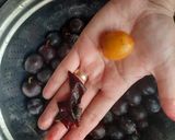A picture of step 3 of Homemade Aloo Bukhara (Persian Dried Plums).