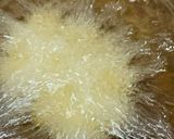 A picture of step 3 of Restaurant Style malai kofta recipe.