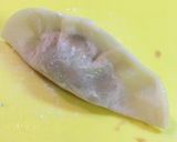 A picture of step 9 of Gyoza Dumplings with Alpine Leek.