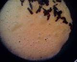Foto langkah ke 4 dari resep Roll Crepes.