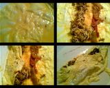 A picture of step 2 of Brisket Omelette.