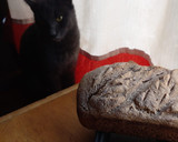 Foto del paso 10 de la receta: PAN de molde con MASA MADRE