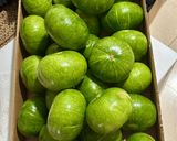 Foto del paso 1 de la receta Zapallitos verdes tipo calabacín